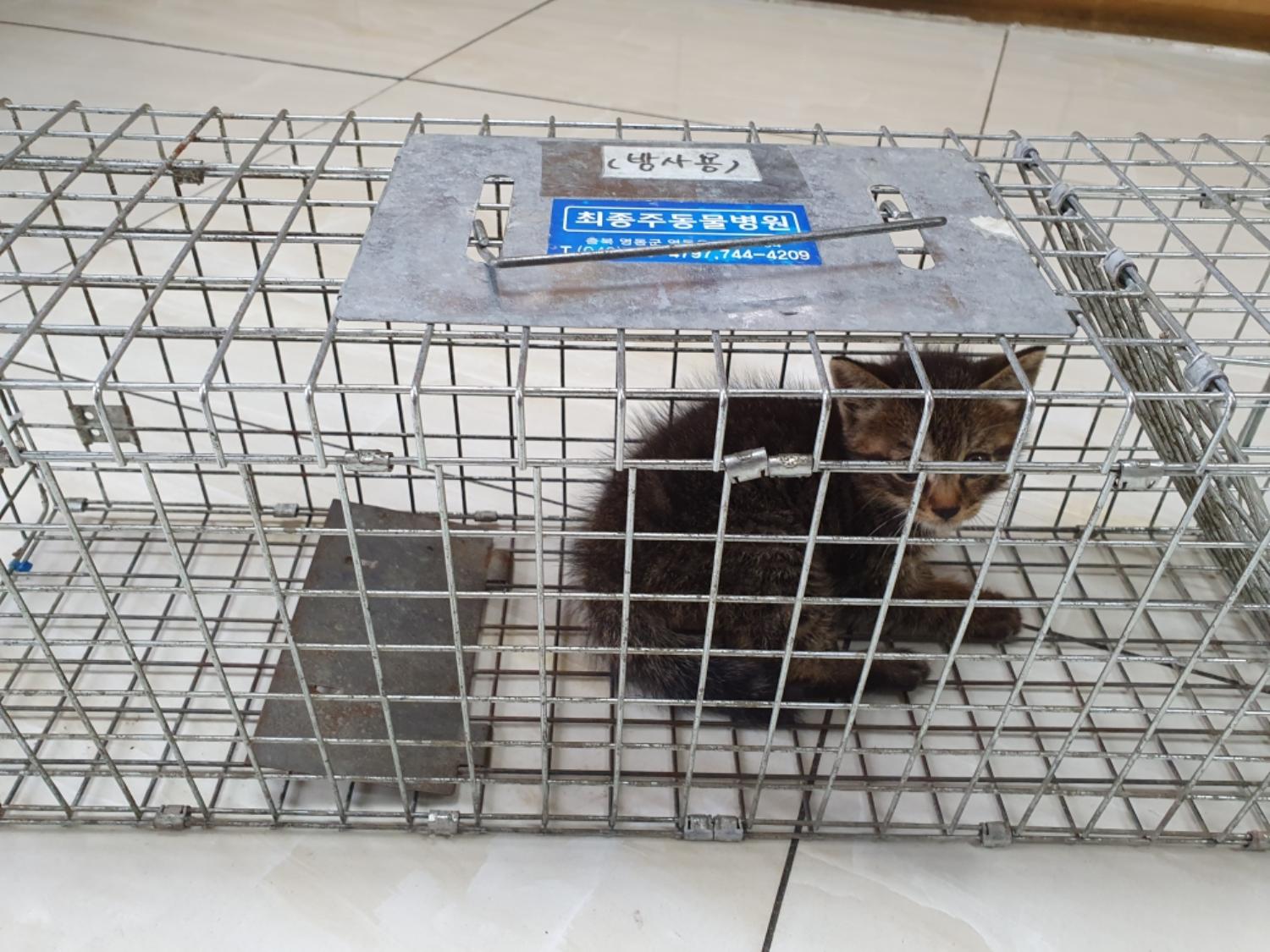 최종주동물병원_443444202300374